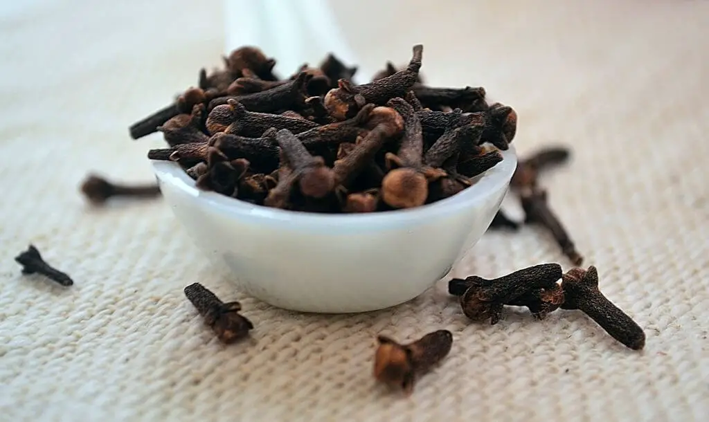 clove remedy for toothache