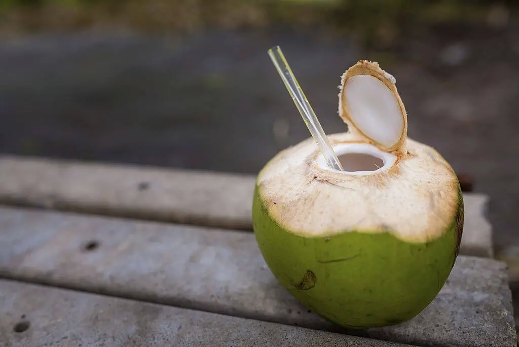 does coconut water make you poop